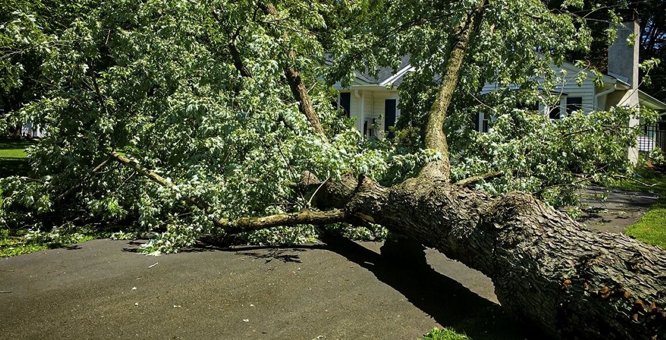 Storm cleanup and debris removal service in Altoona, PA